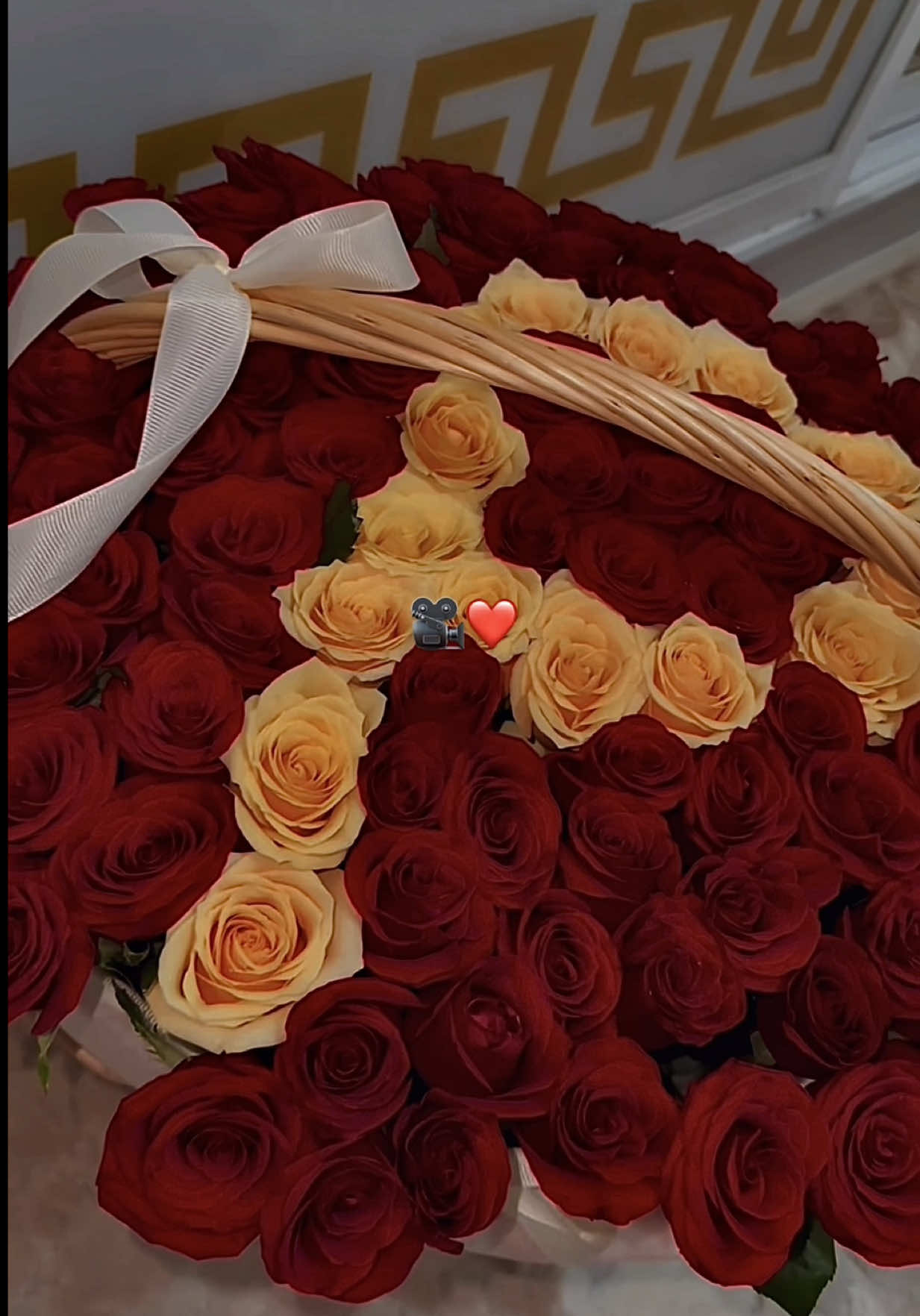 @RAMINA RIAD