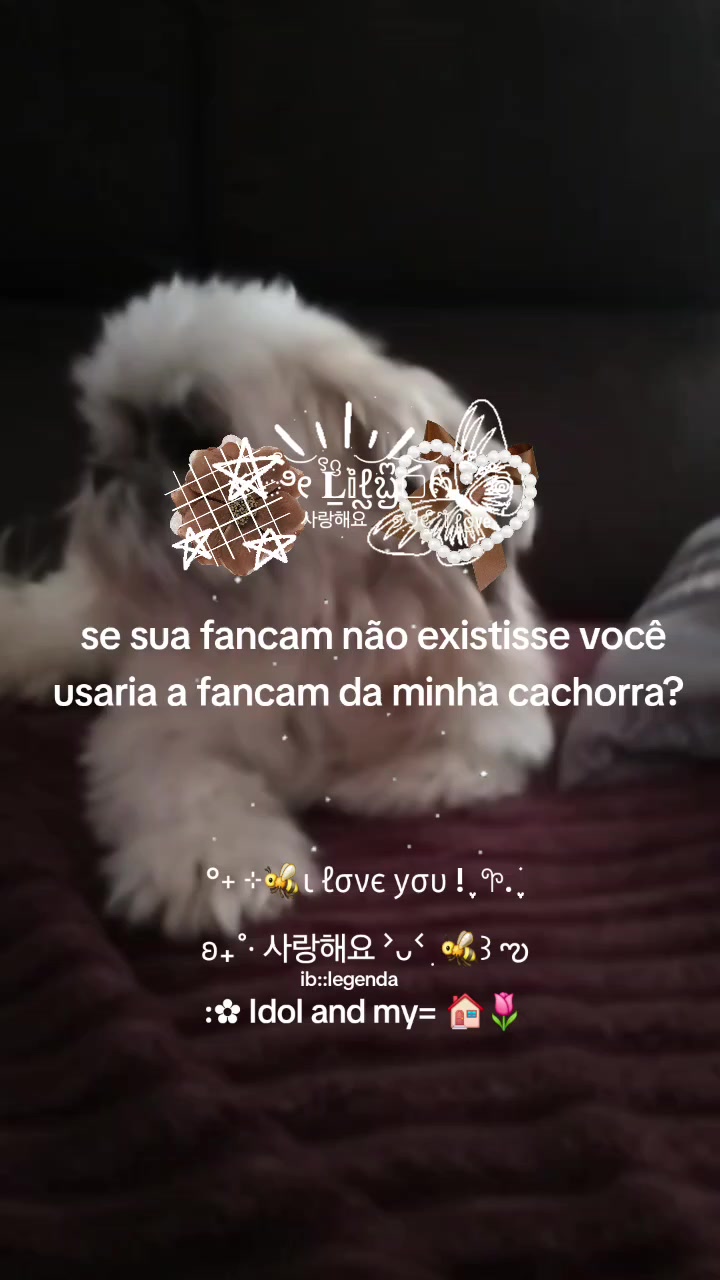 @🌸ᰋ ‧ 𓈒 ᩘ𝕝เɑׁׅ !¡