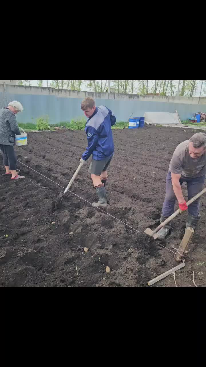 @Полина Свительская
