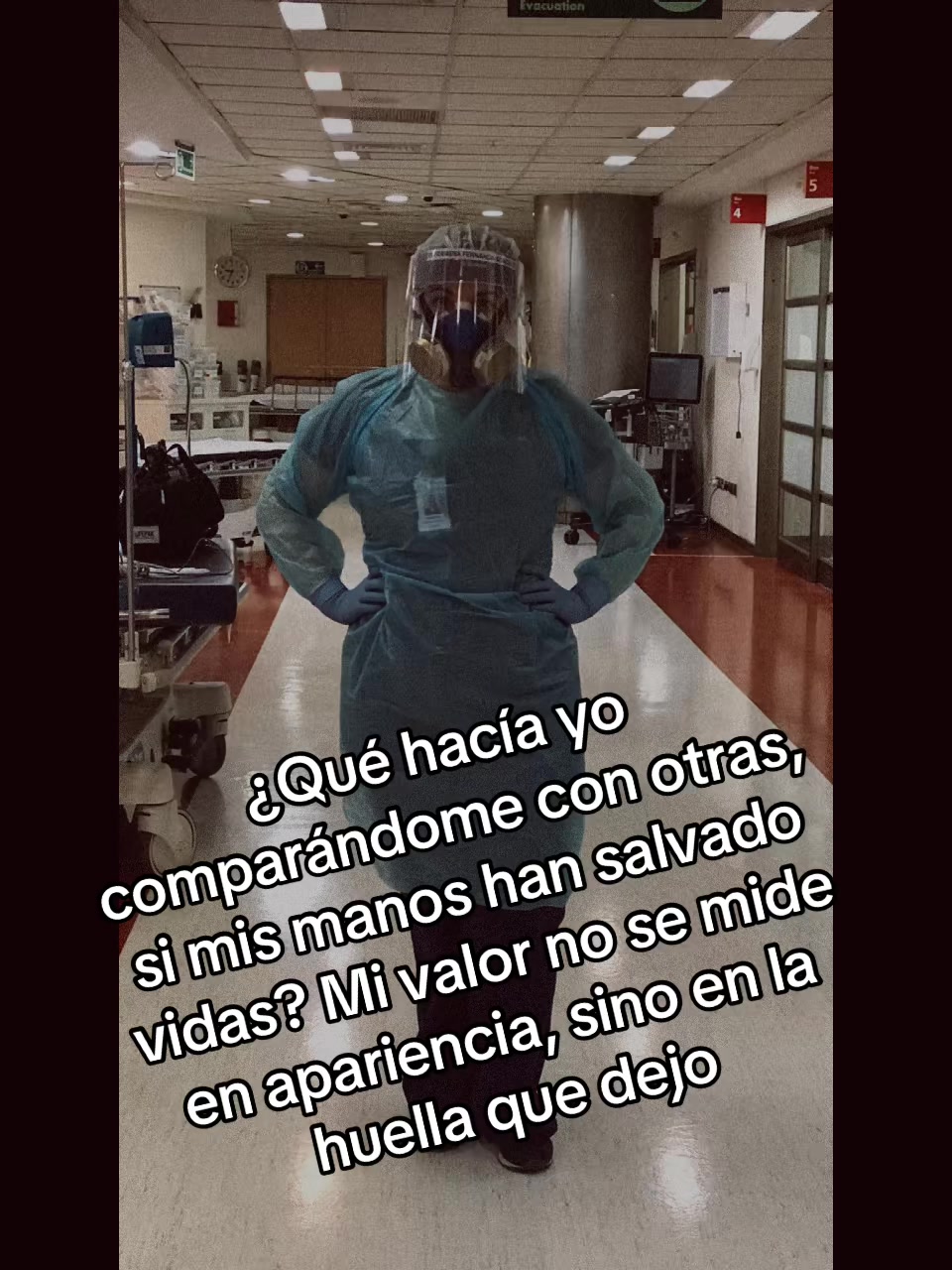 @Fernanda Alcayaga