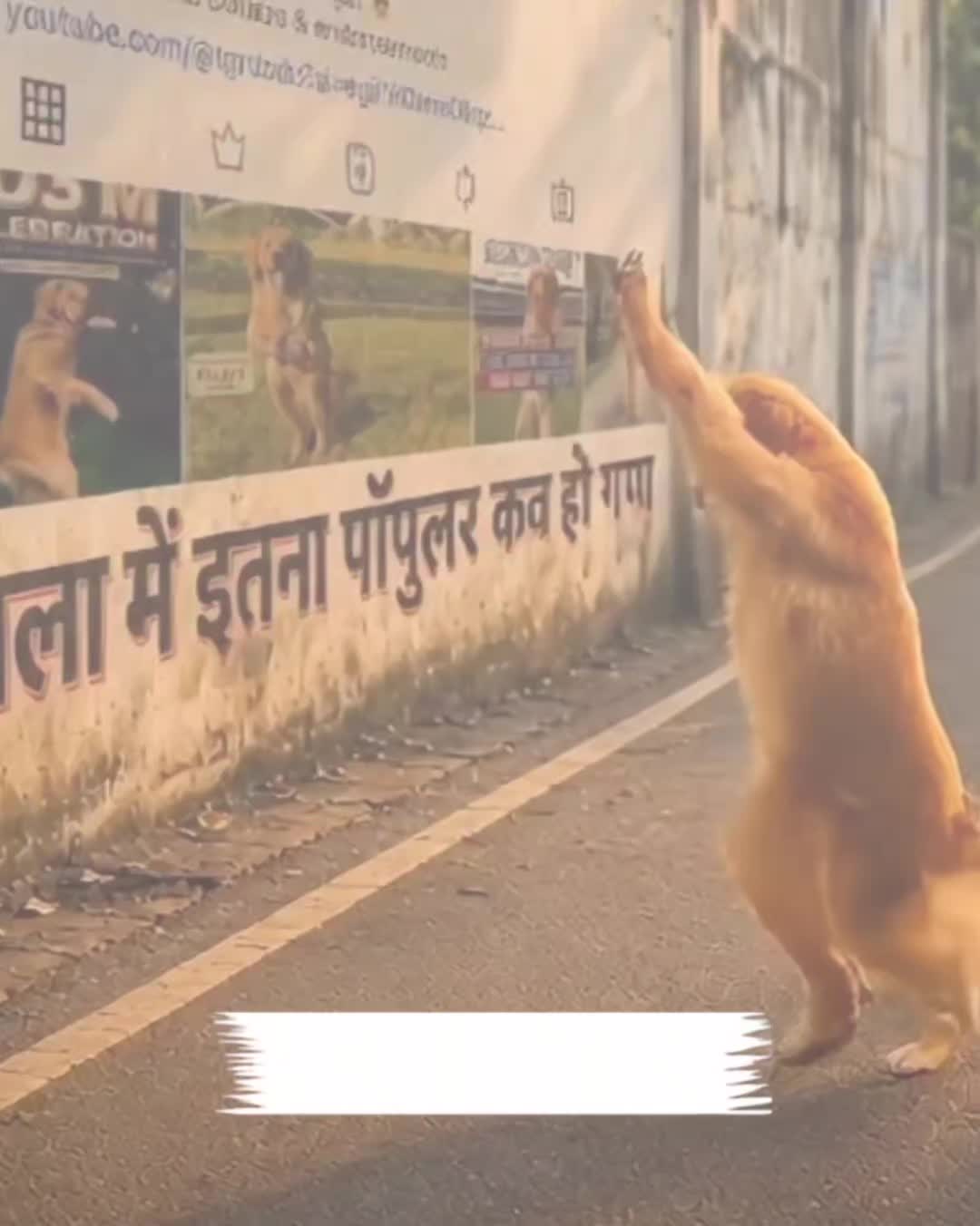 @My funny video