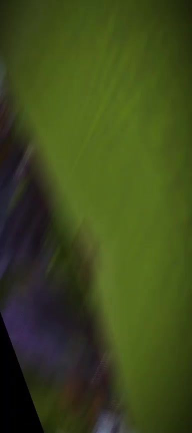 @FeTniz