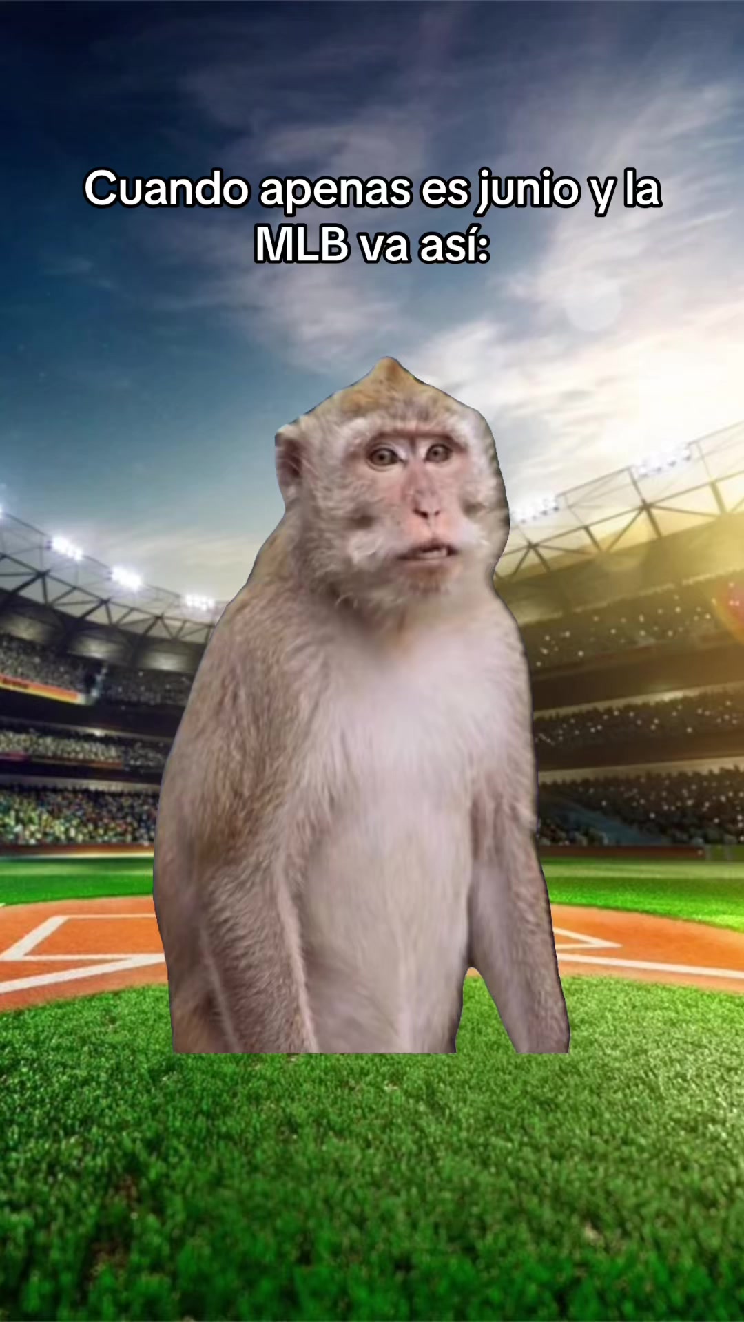 @BaseballAnalista⚾️Emiliano N.