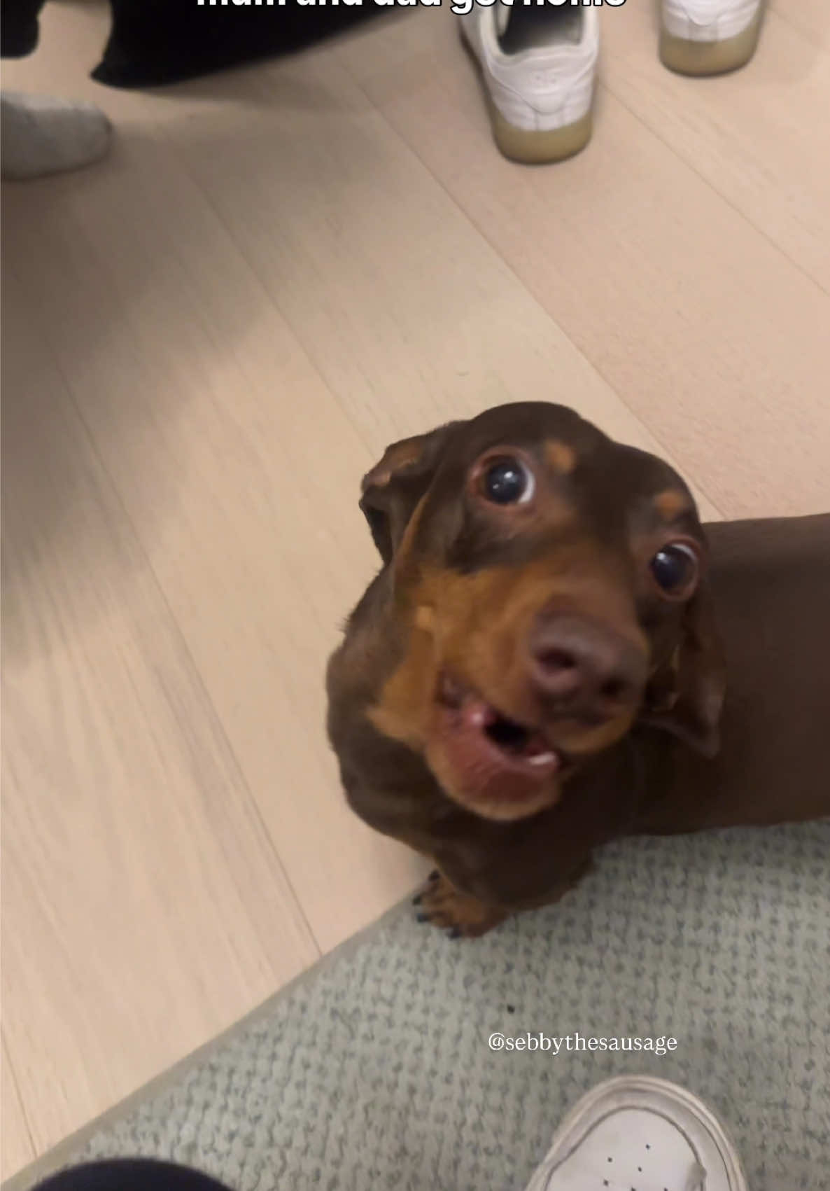 @sebbythesausage
