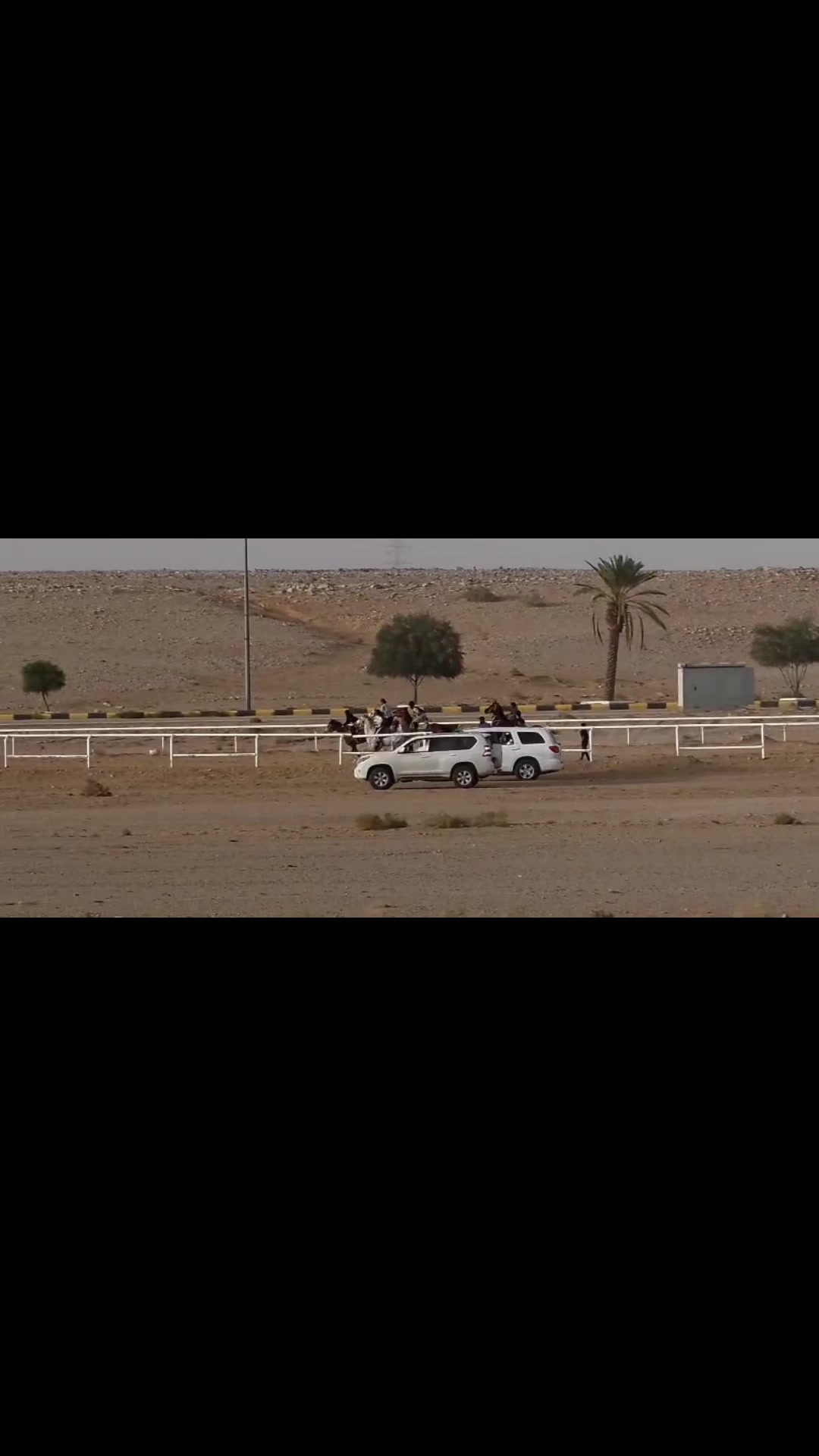 @عبدالله حمد التميمي jockey🏇🏿