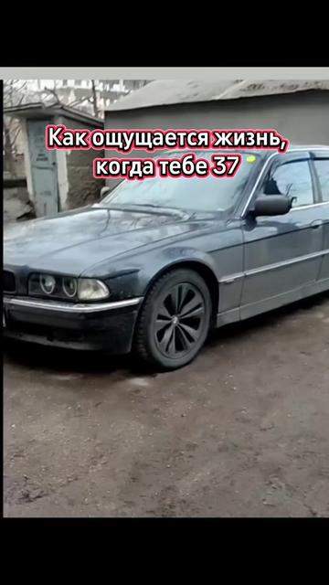 @Великолепный