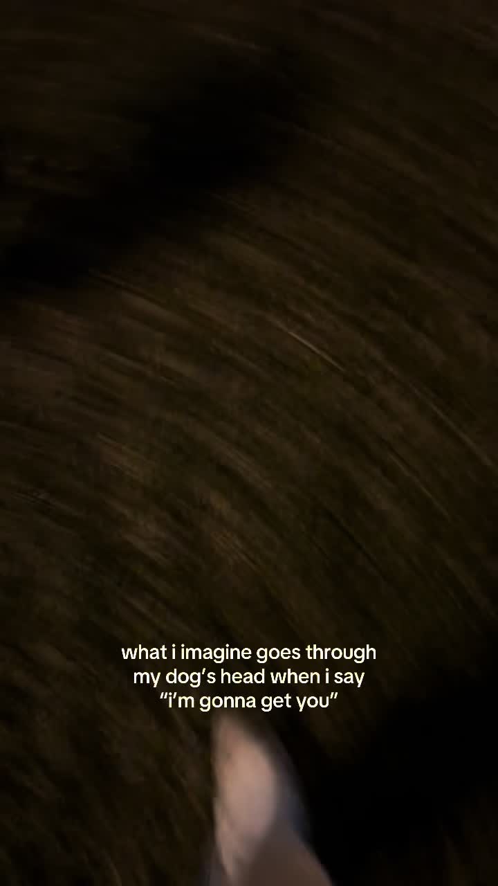 @ayla