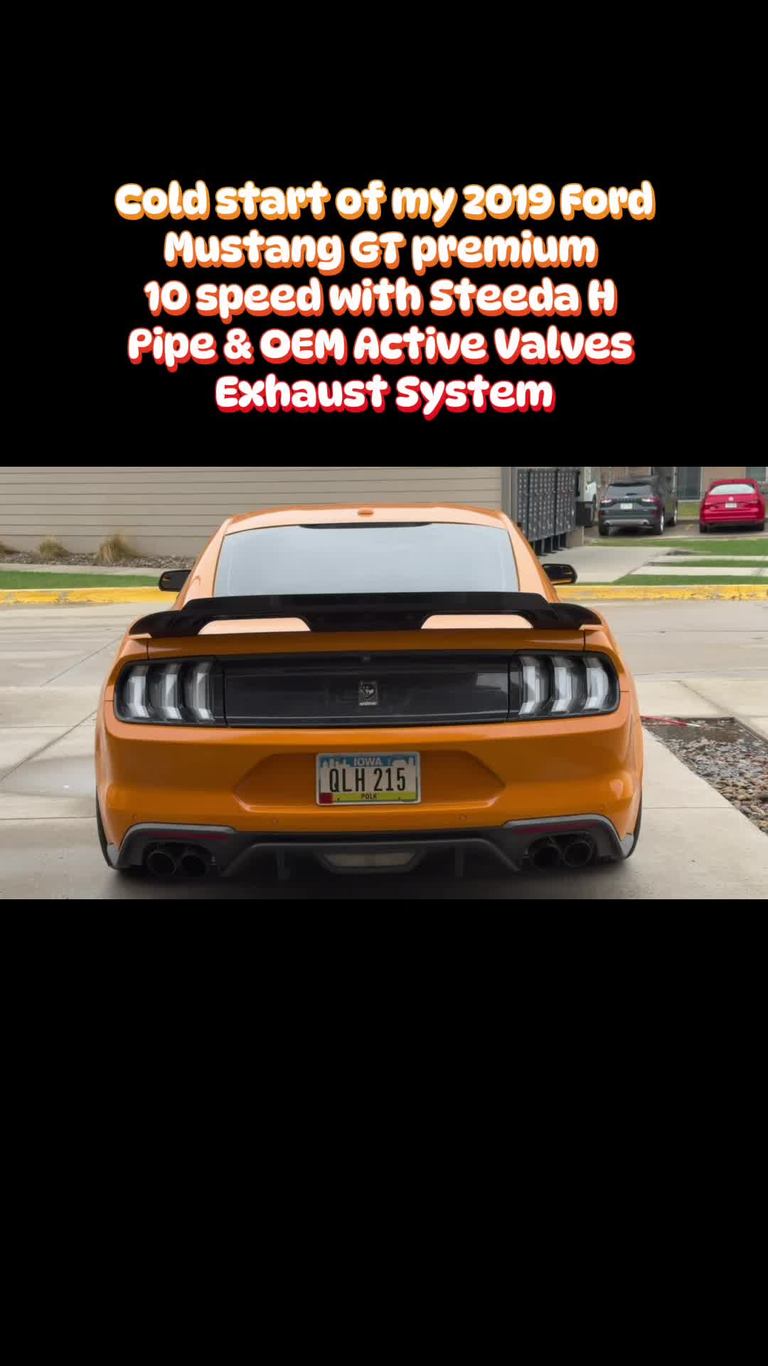 @LaVidaDeBori787PR🇵🇷👹🐺