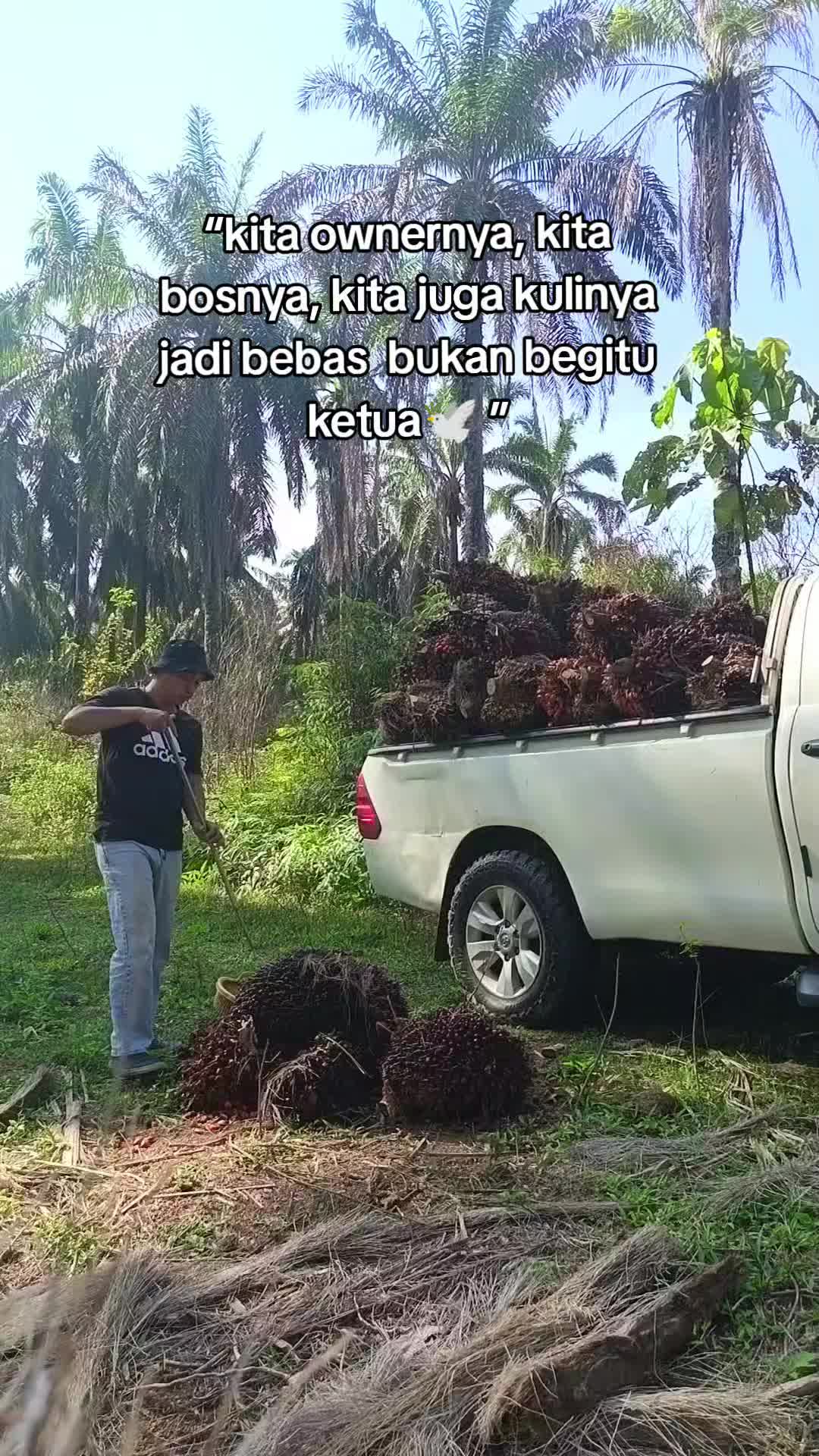 @Pak Jerry Empire