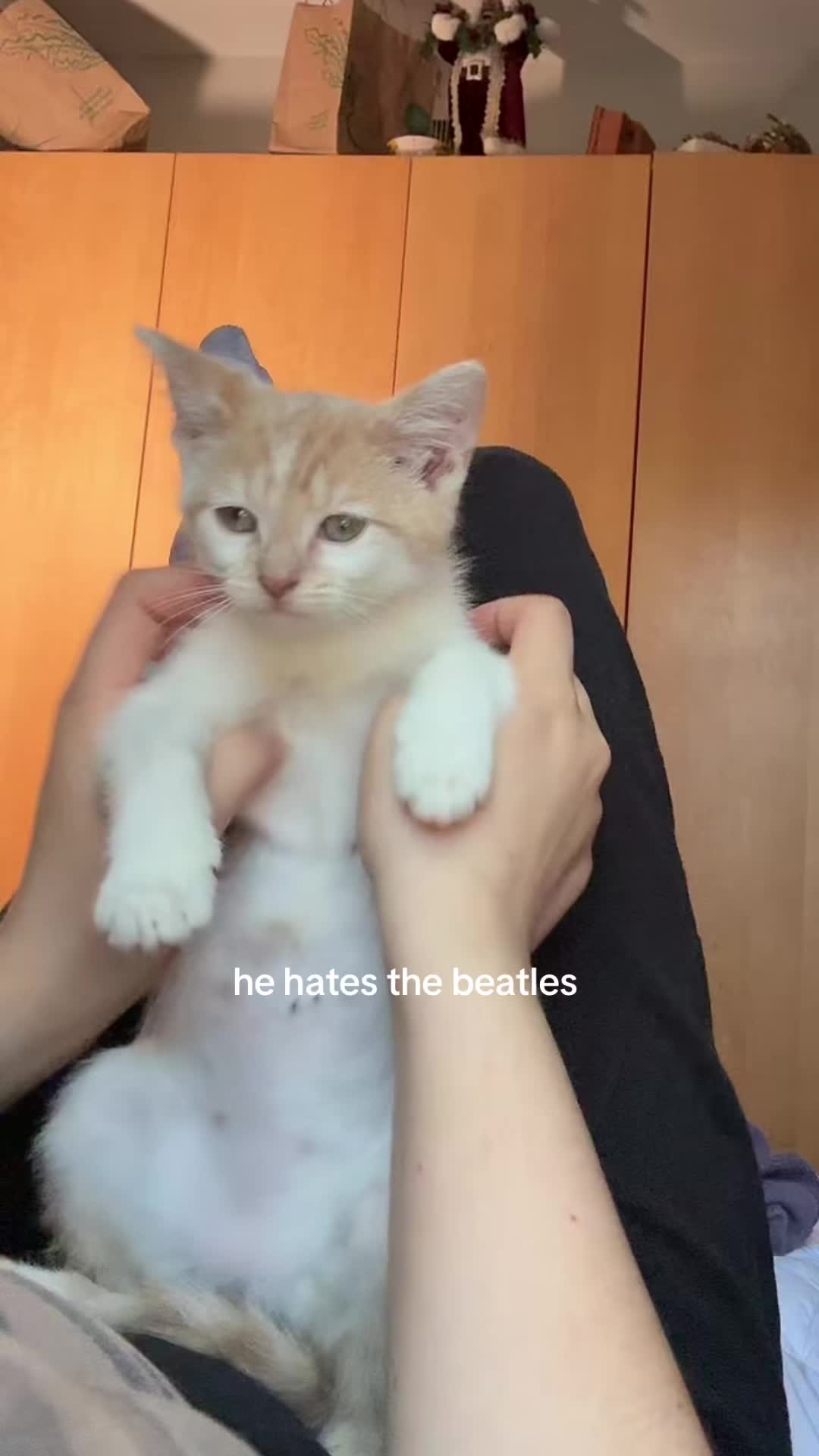 @nacatbruh