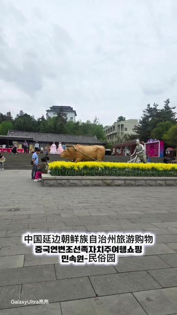 @韩国旅行旅游大妈导游翻译/韓國旅行旅游大媽導遊翻譯