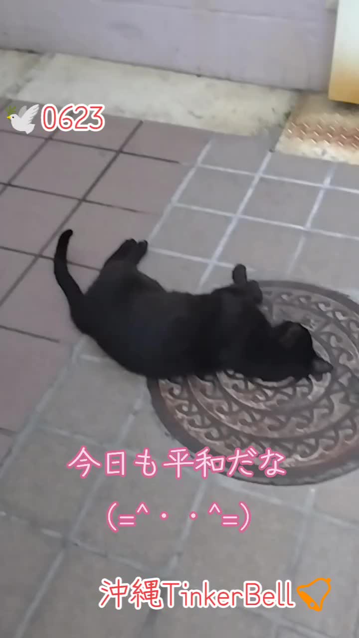 @沖縄セクキャバティンカーベル