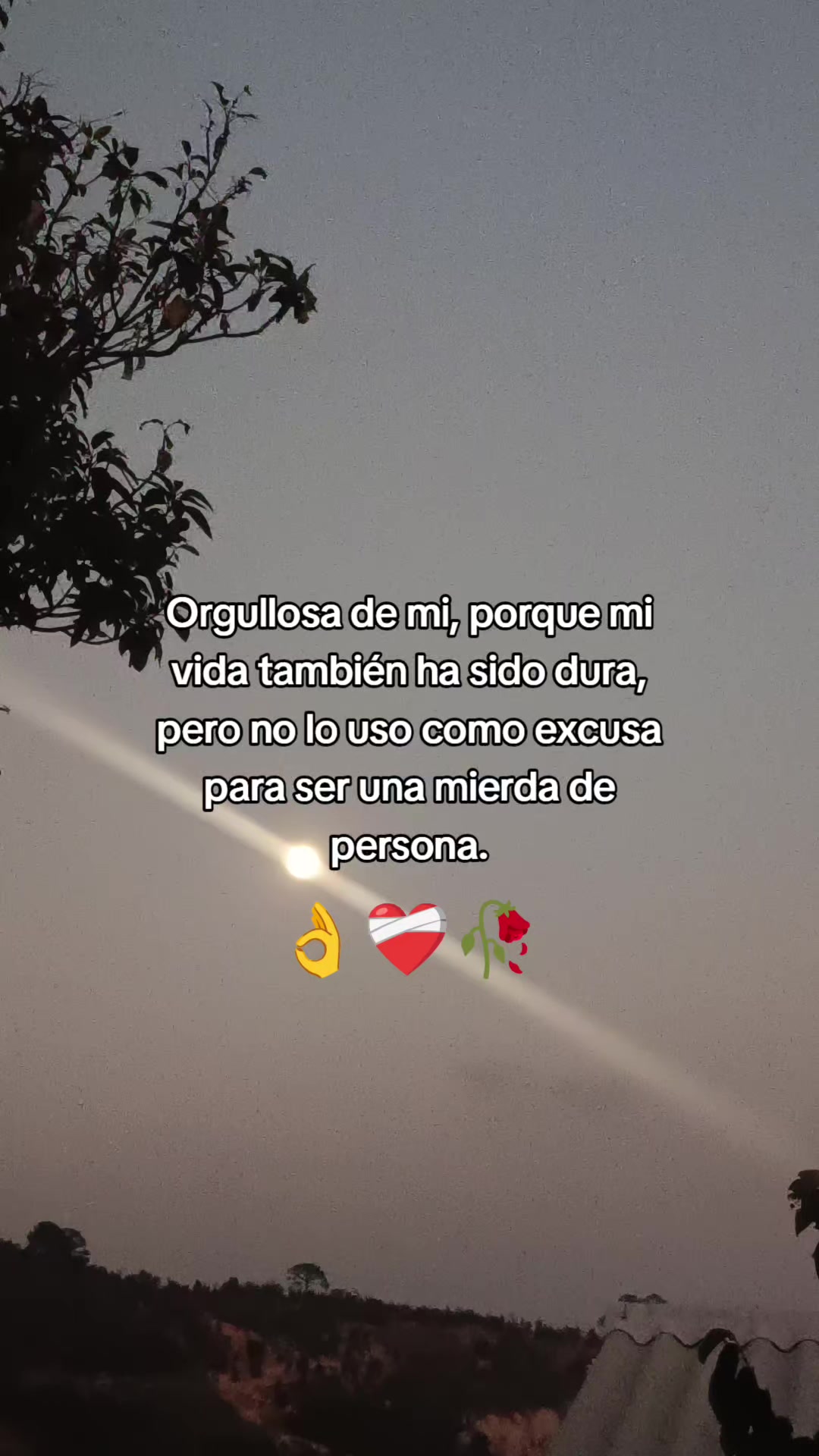 @✨🍁!§∆M∆R 🍁✨🏀💐