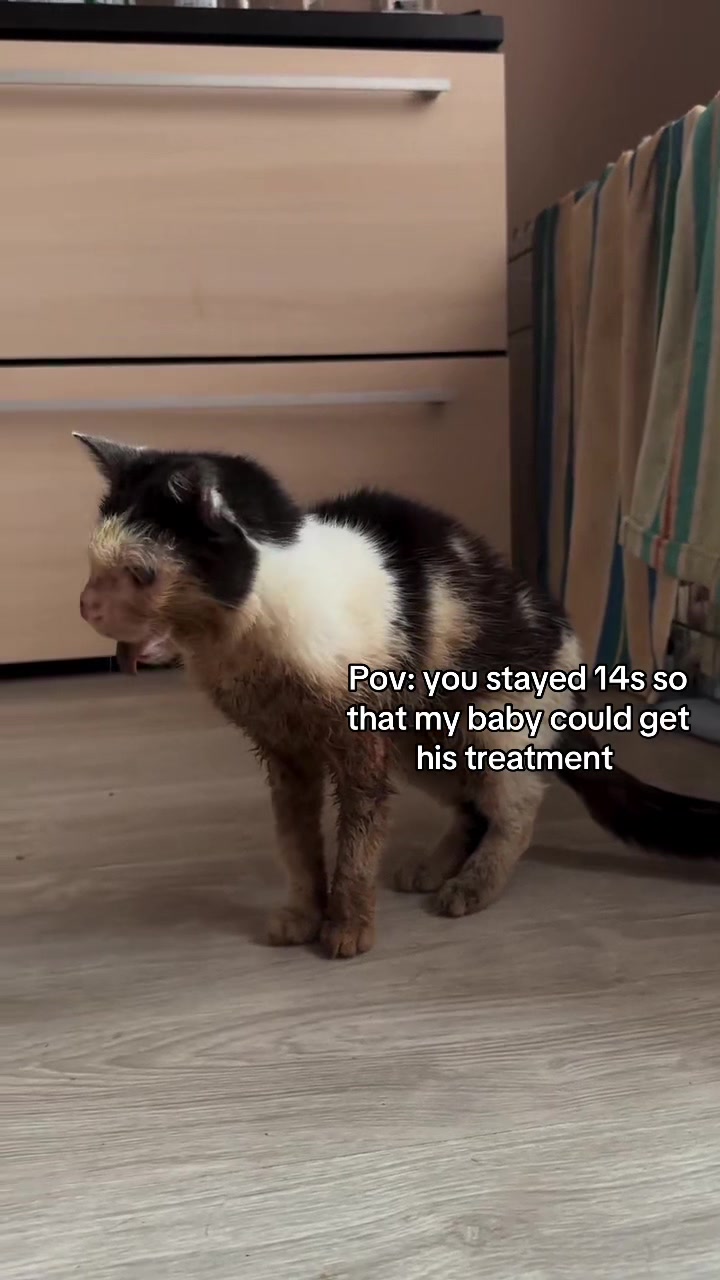 @wemakerescues