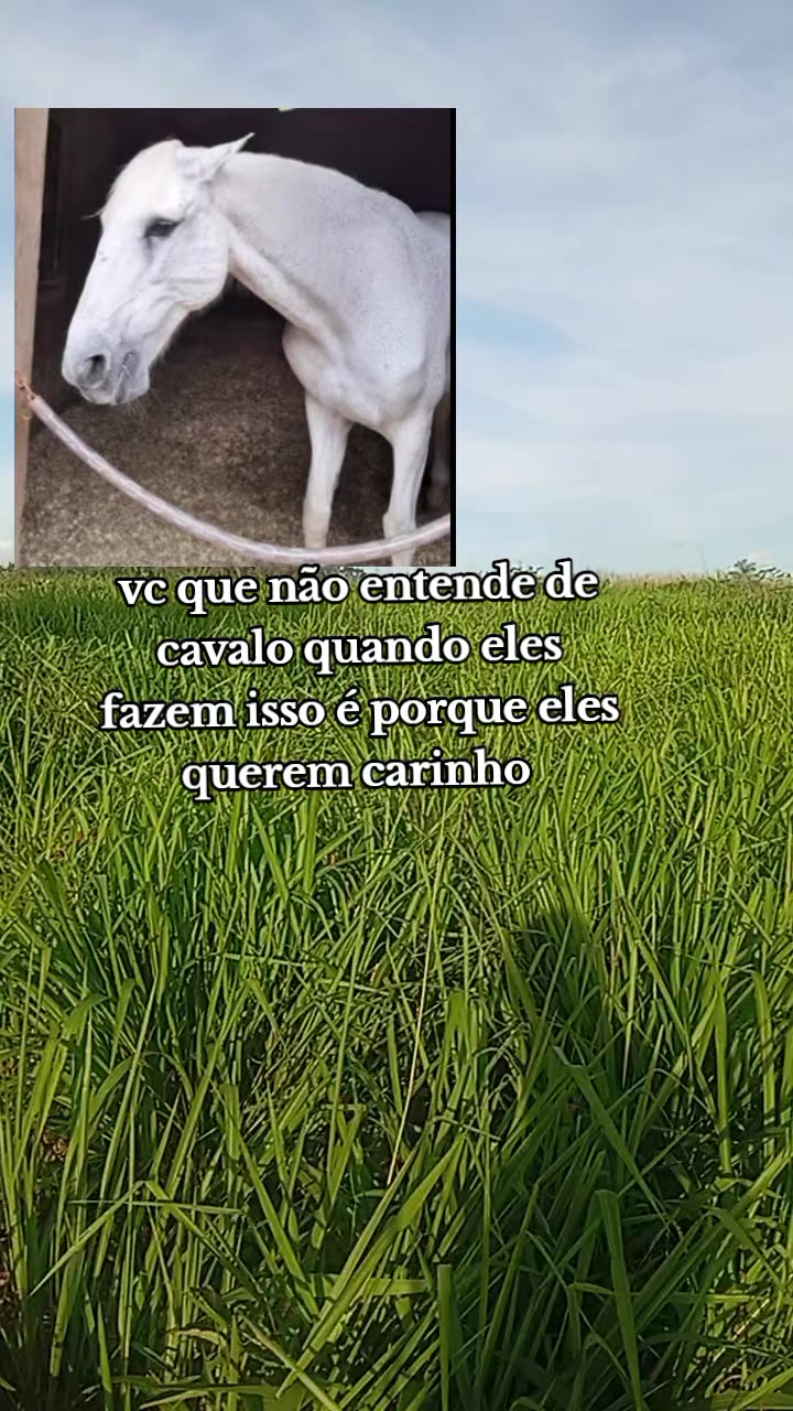 @Kauã Gabriel