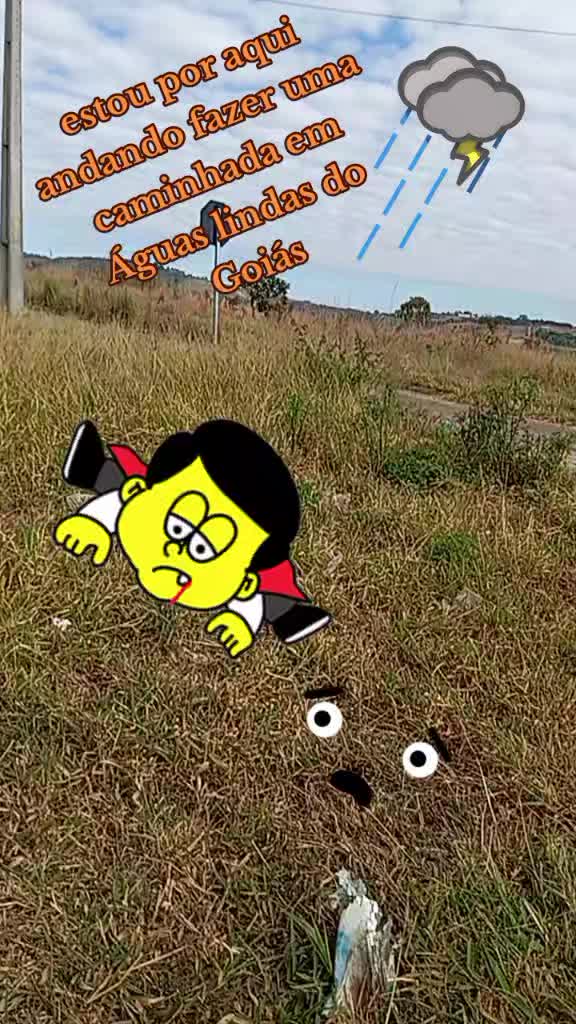 @mariajesus5368