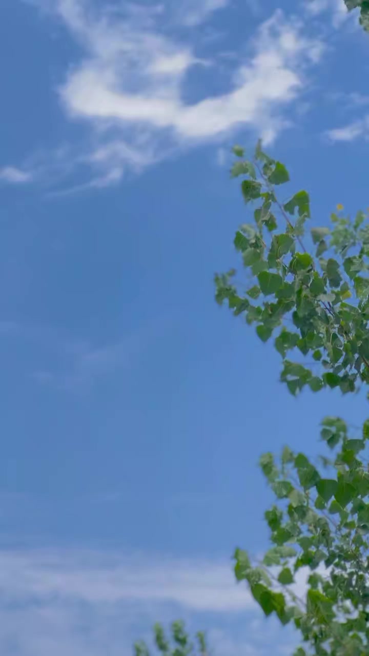 @MIANSAB313🦅