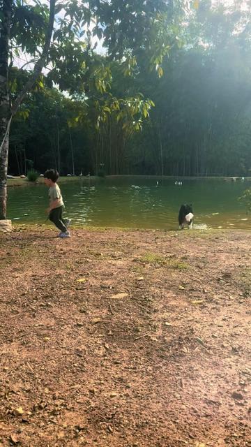 @Fer.nandacardoso