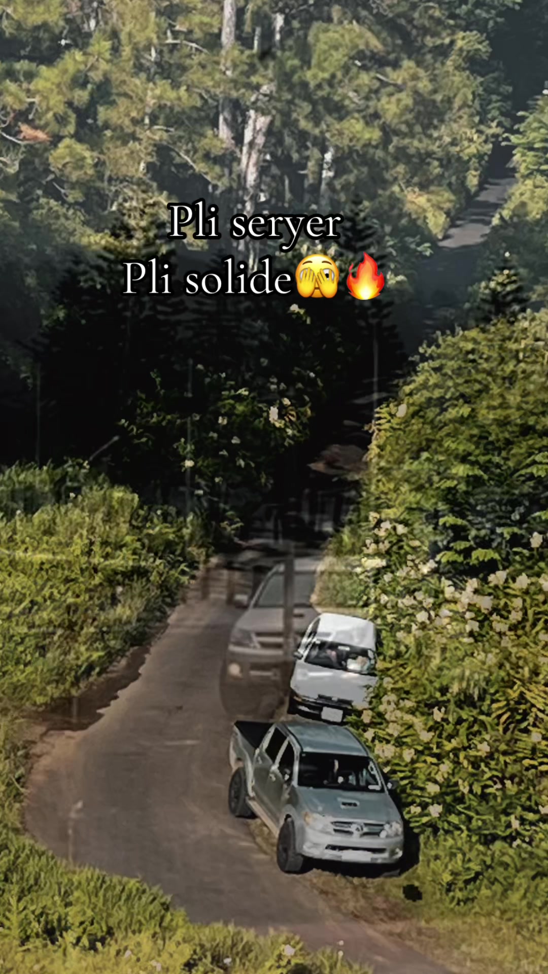 @Shreeya❤️