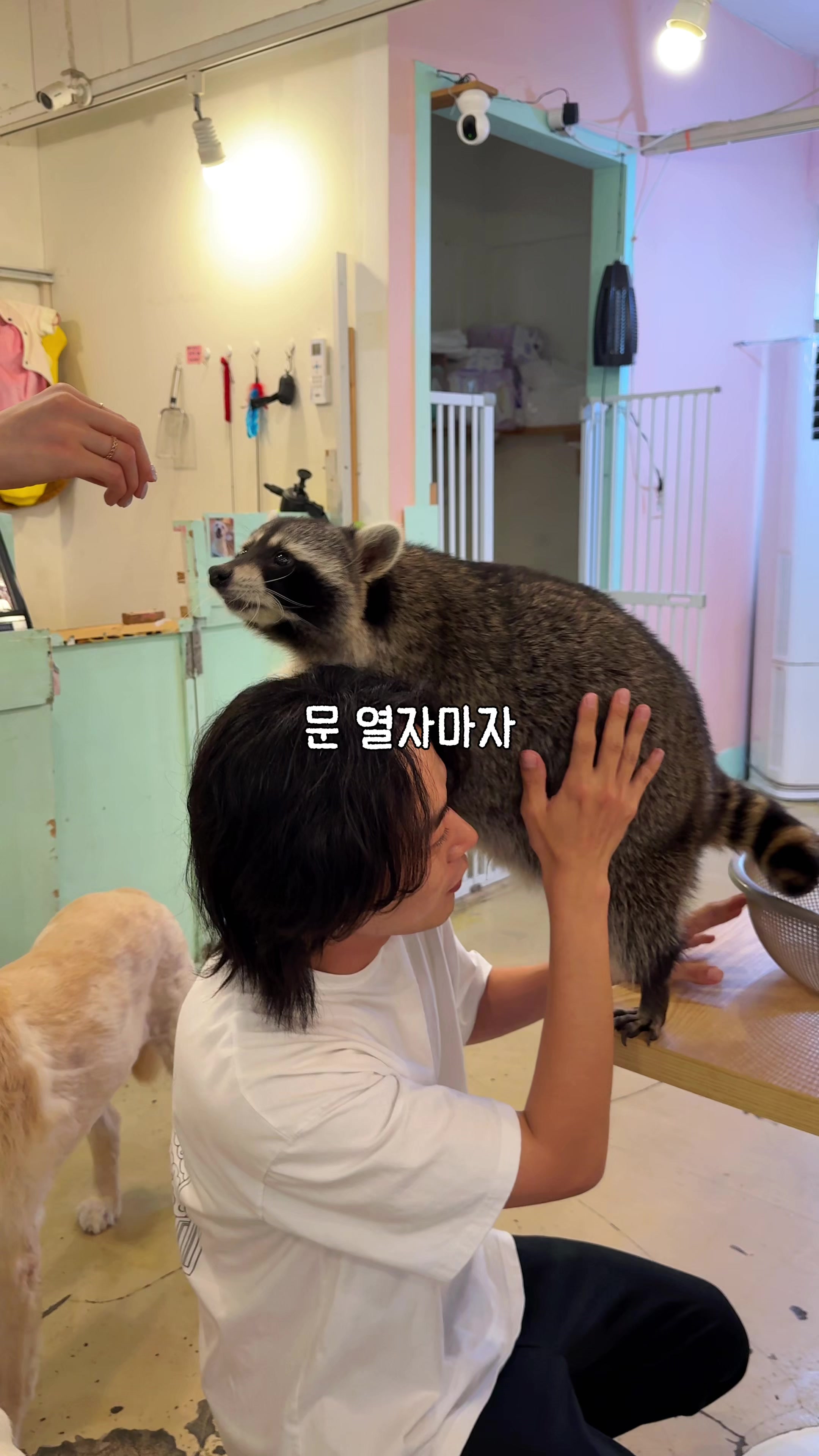 @traveler_jin