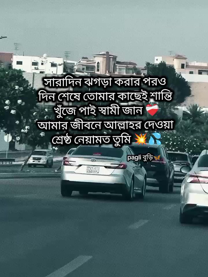 @Pagli বুড়ি🦋