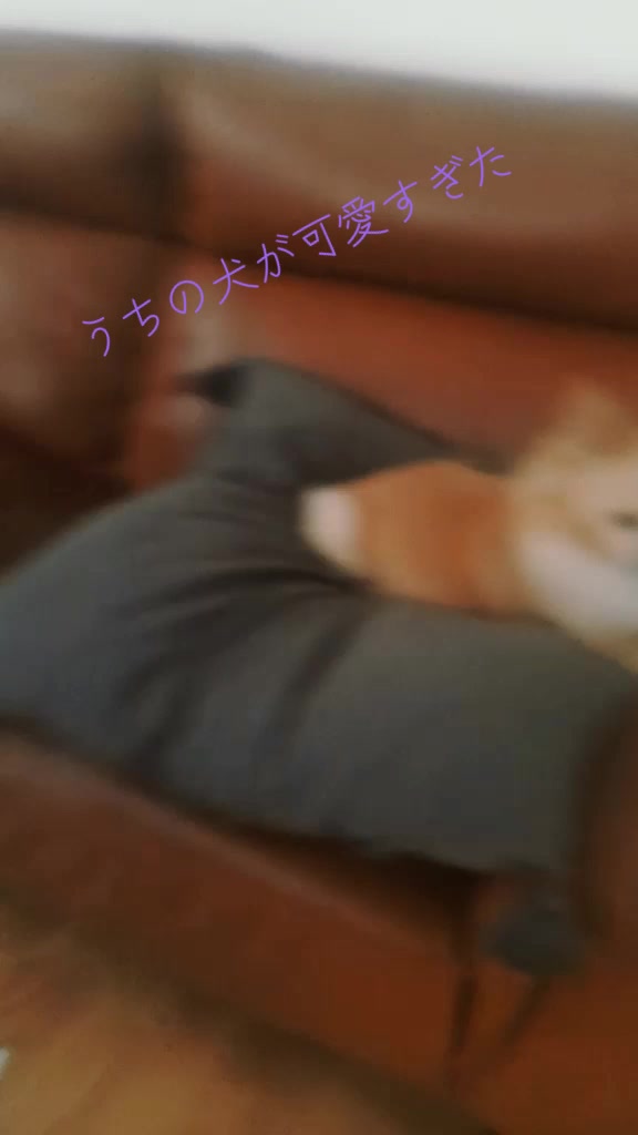 @ノリ最強 (ブロスタ)