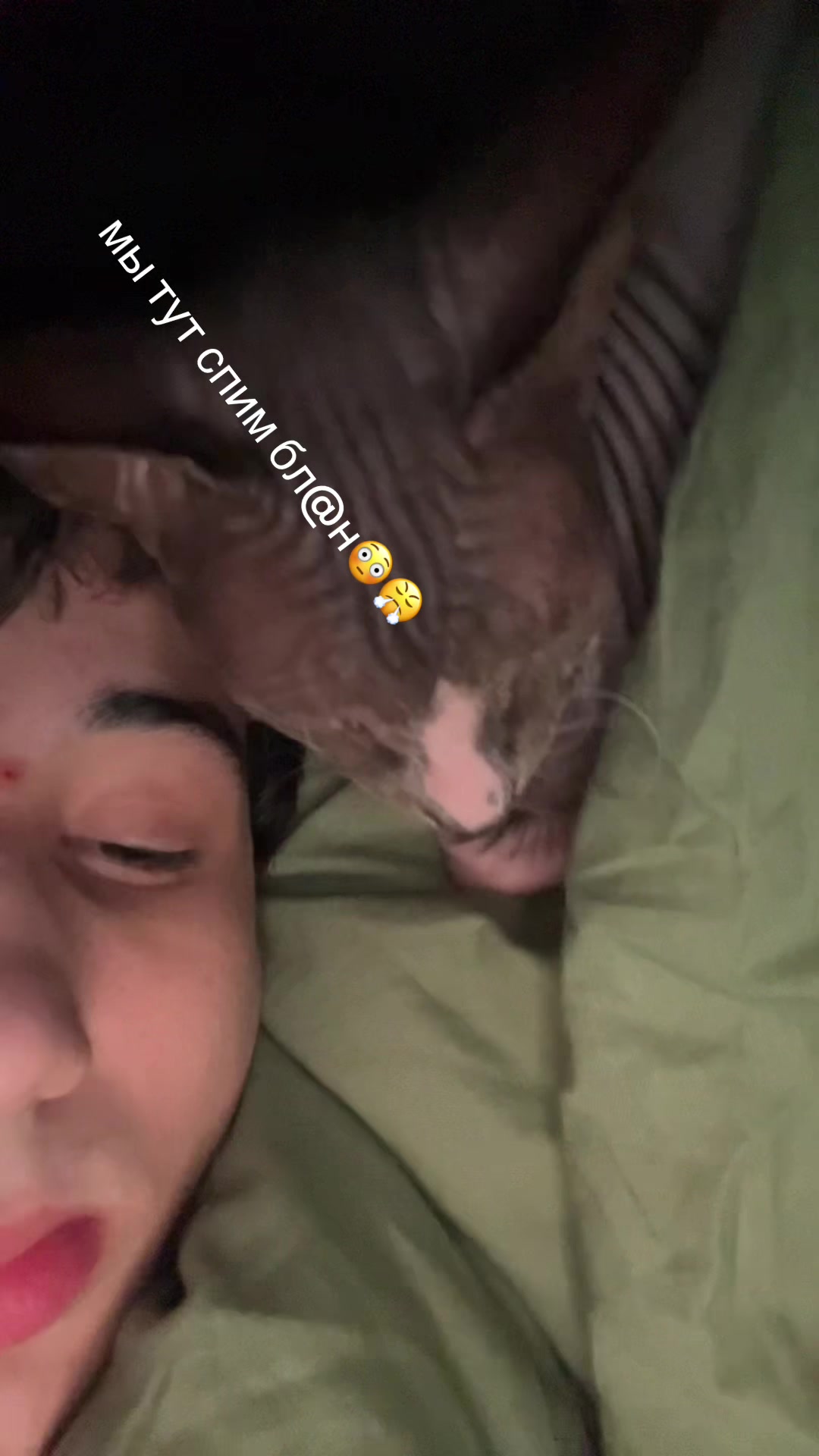 @nn01ss0