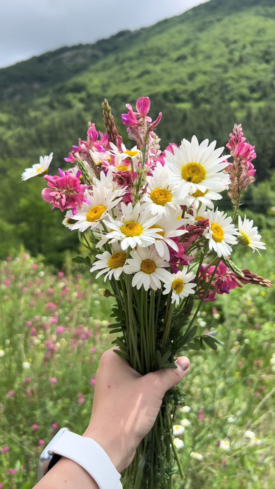 @Ağcabədi❤️04🌸