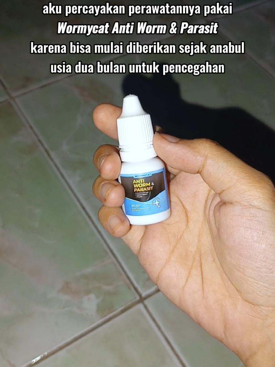 @Finaty | suka review ✨