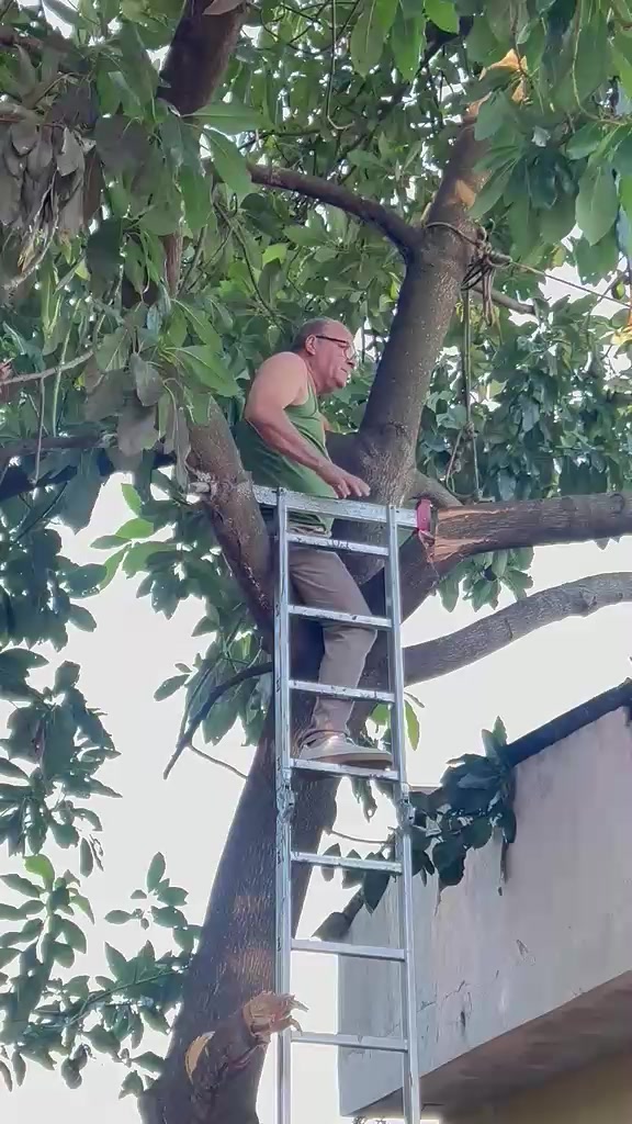 @Eli de Macedo Dias