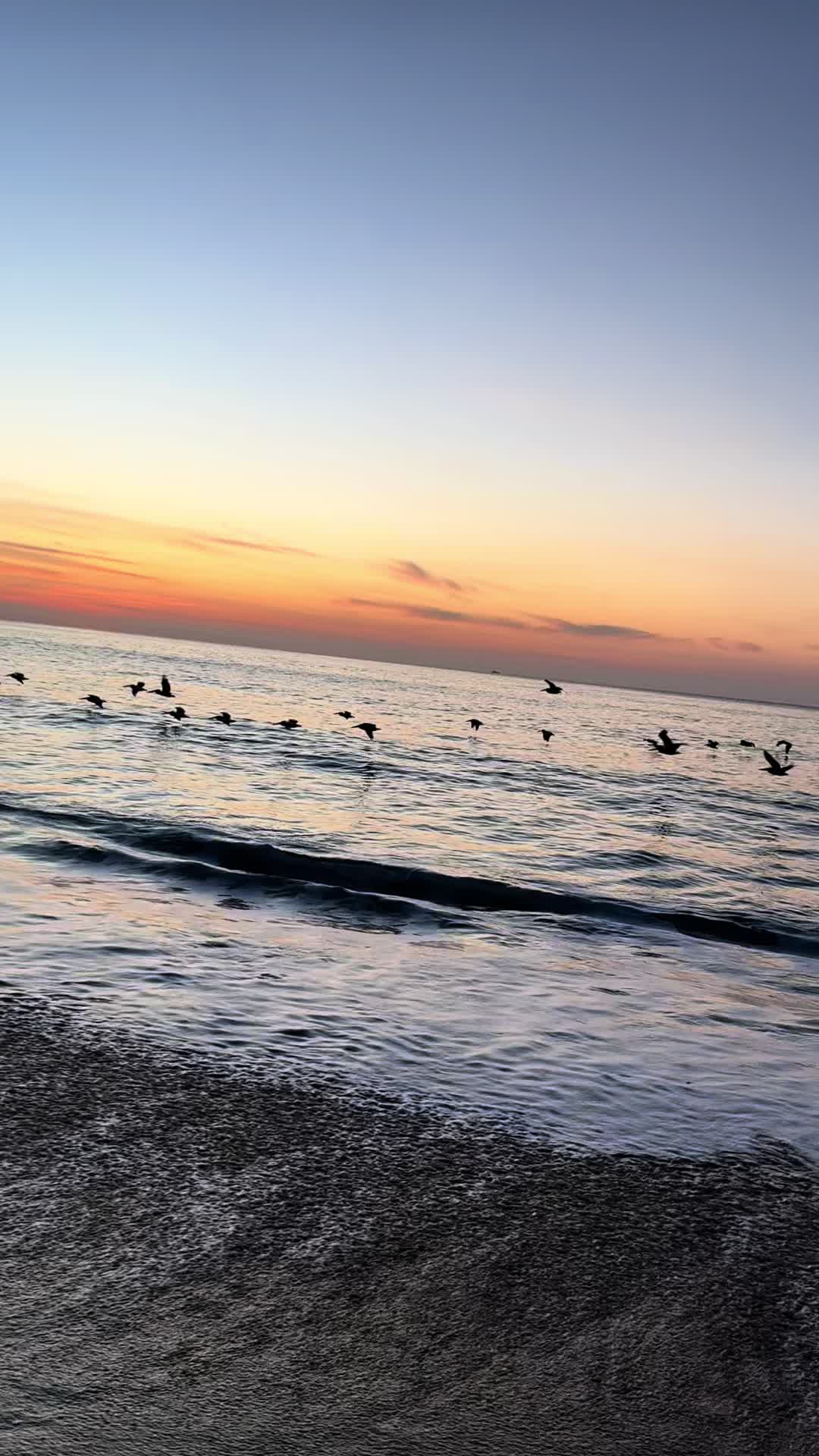 @_amandarai