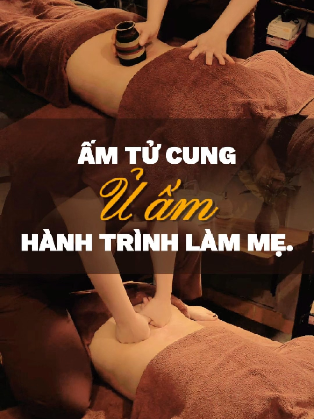 @Triều Gia Y Dưỡng