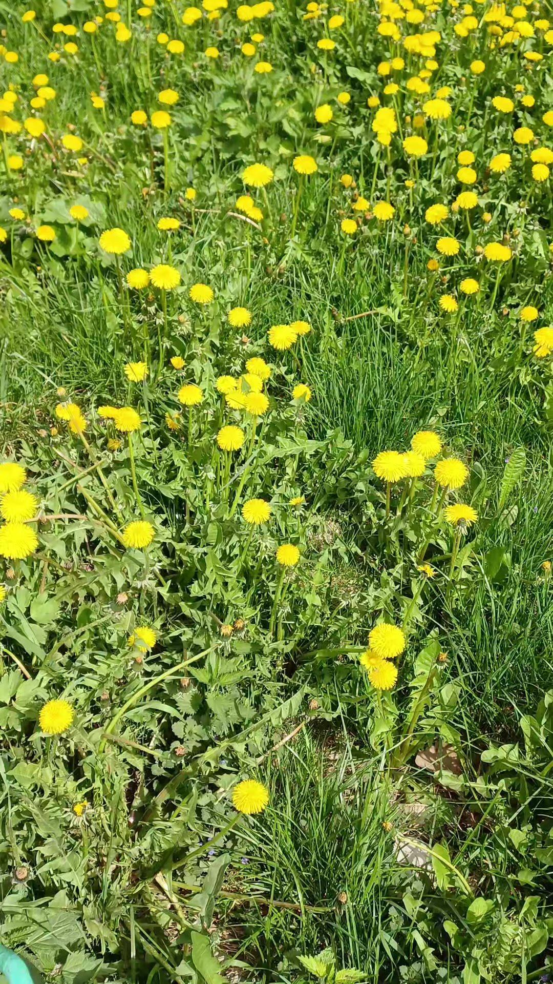 @Ольга