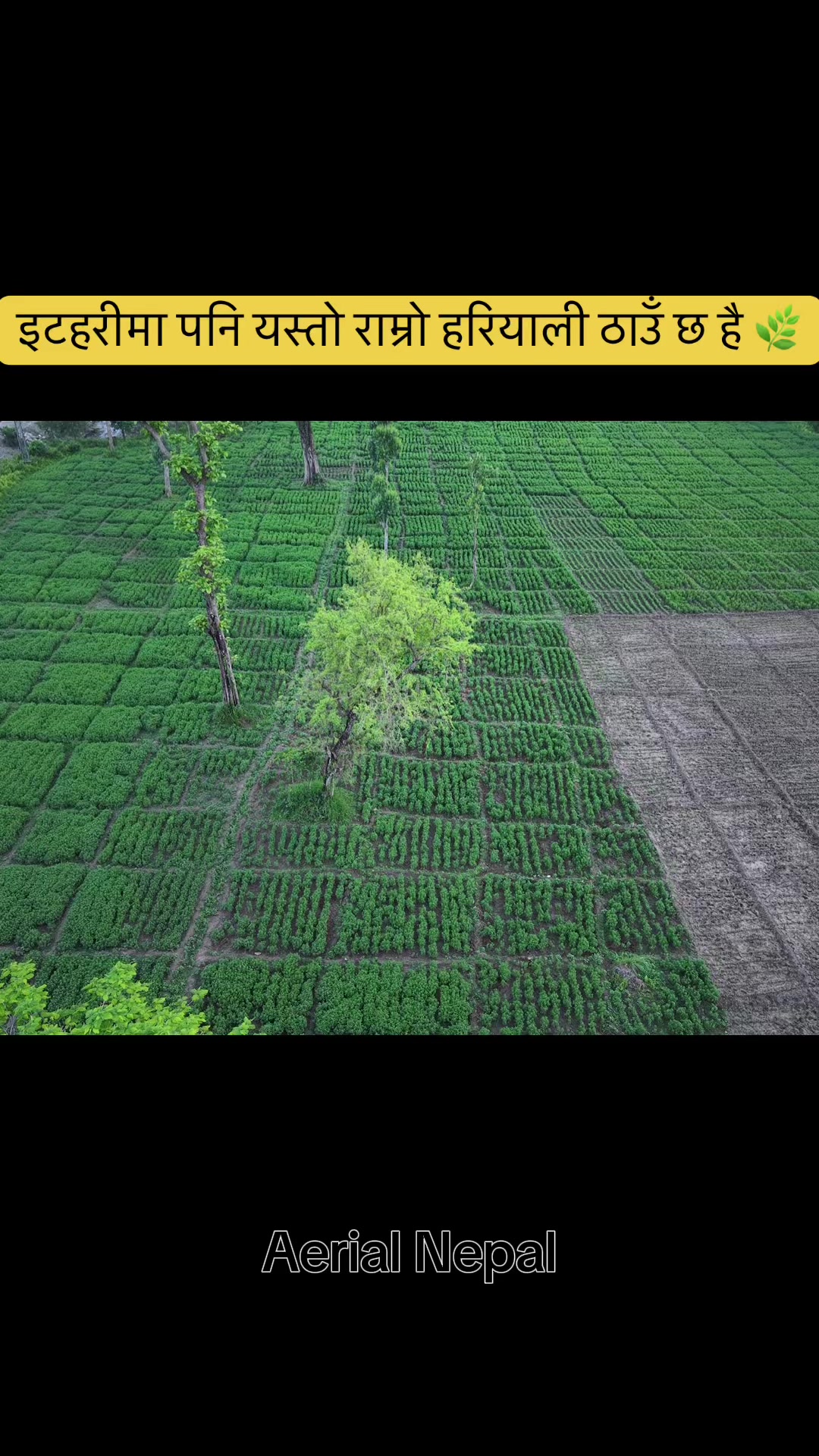 @Aerial Nepal