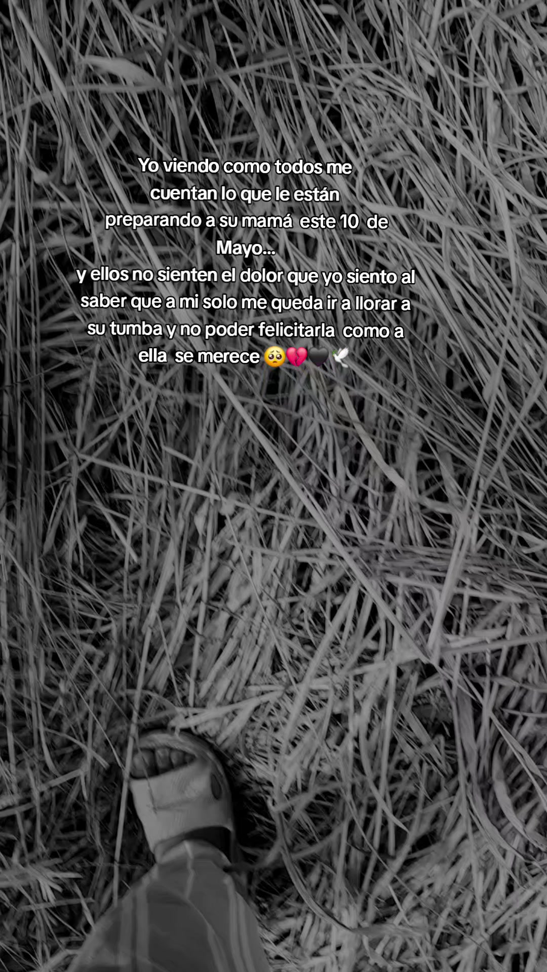 @Naomi 🦋🥰