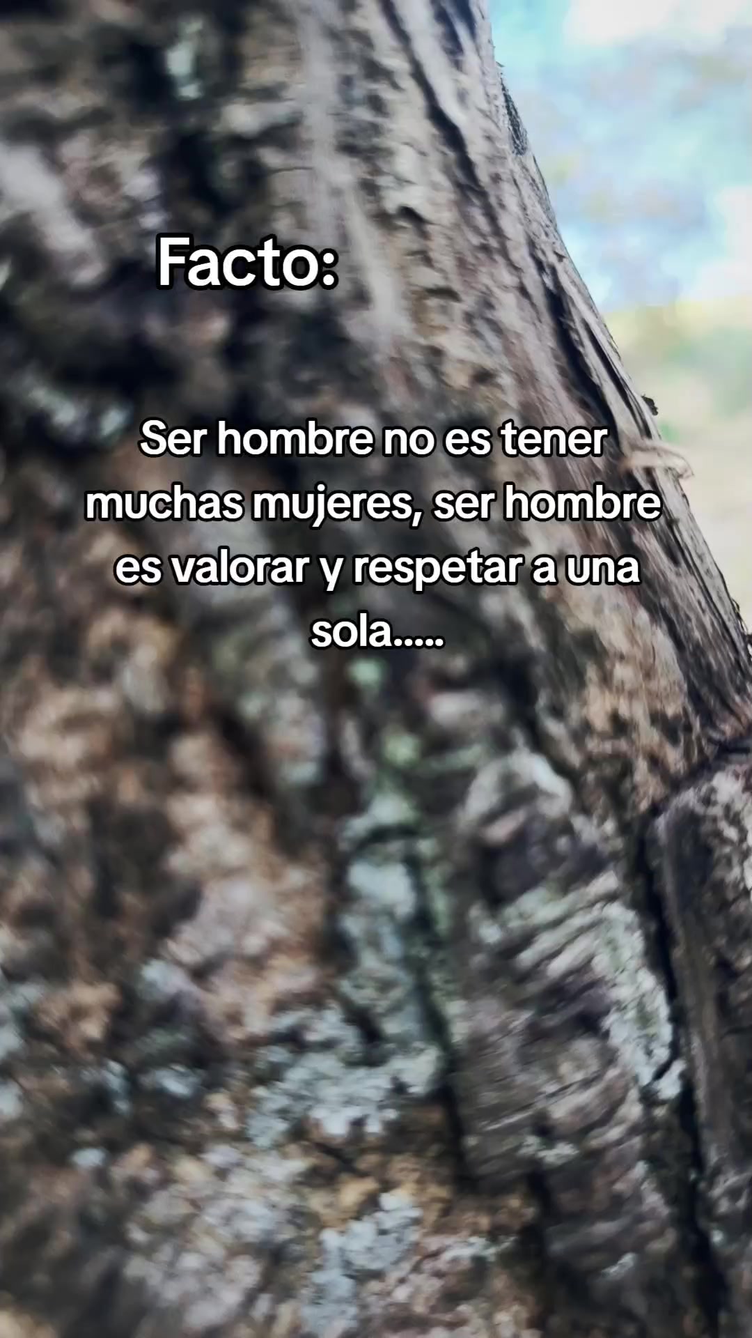 @️Satiel🧢