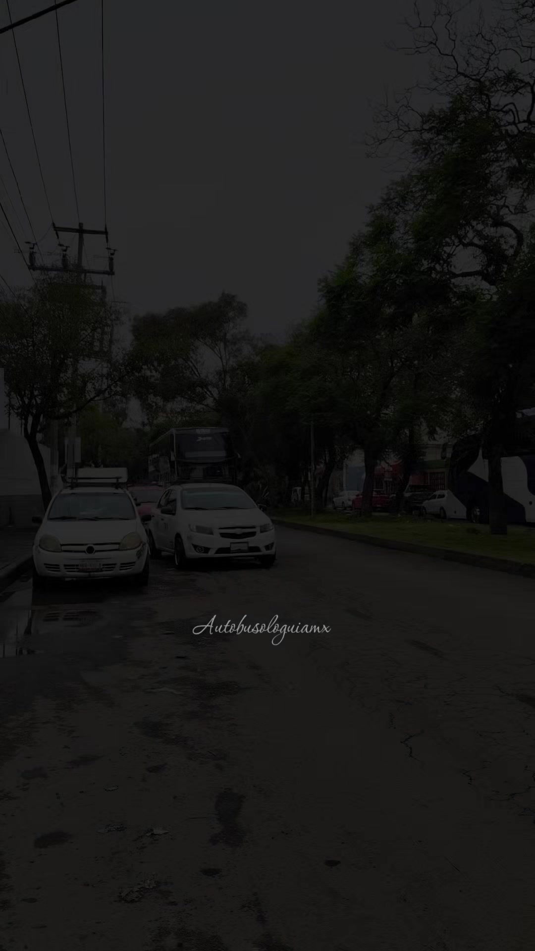 @🍁 " Autobusologuiamx " 🍁