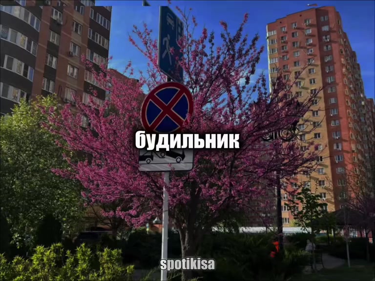 @🦋Ксюшечка 🦋