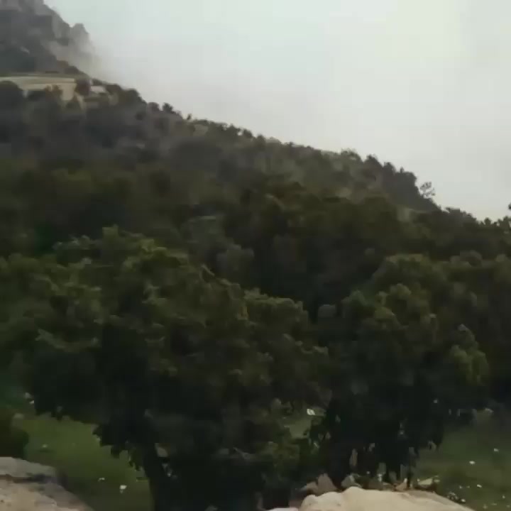@rx.5.0.7