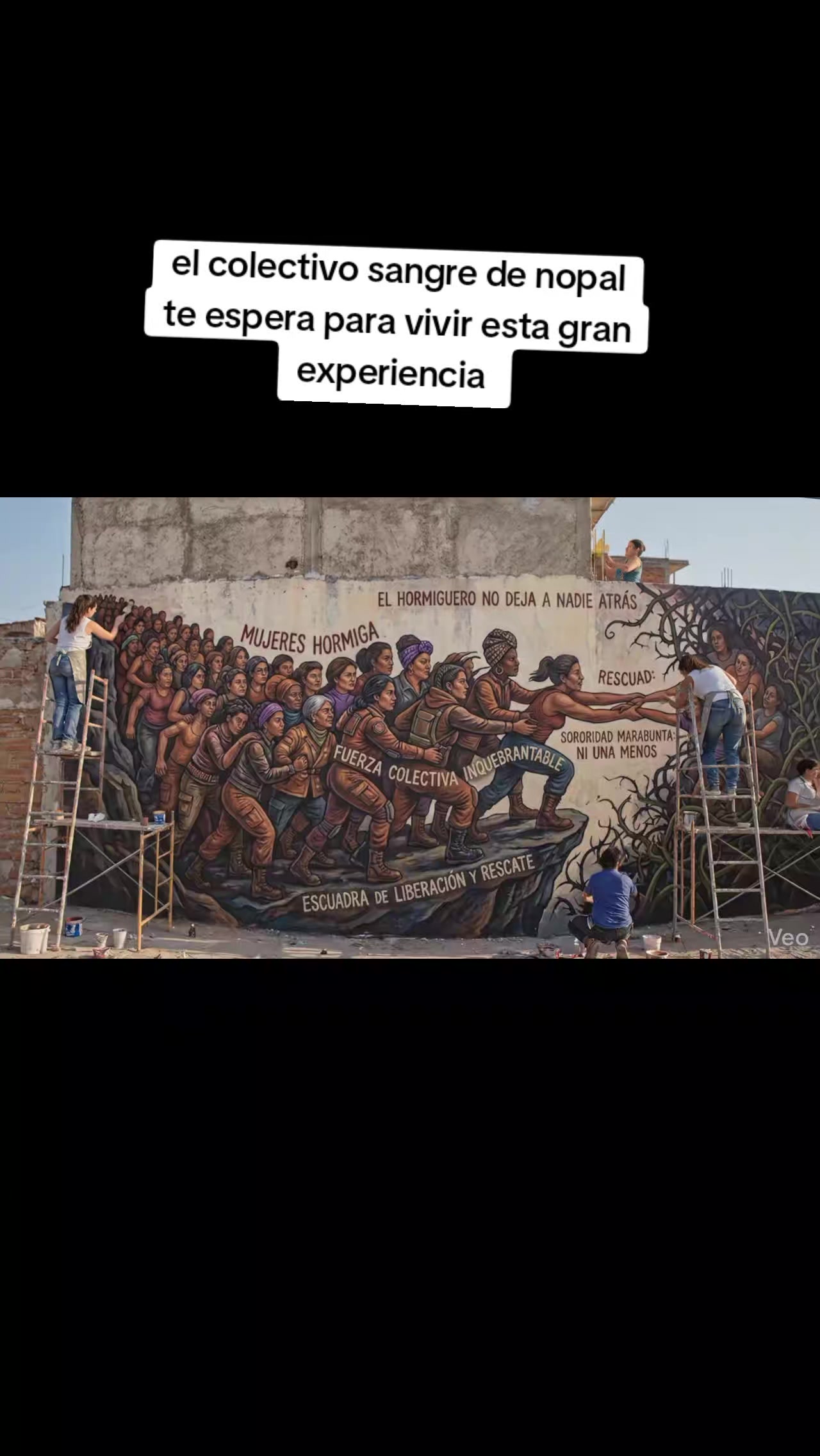 @Mujeres Hormiga