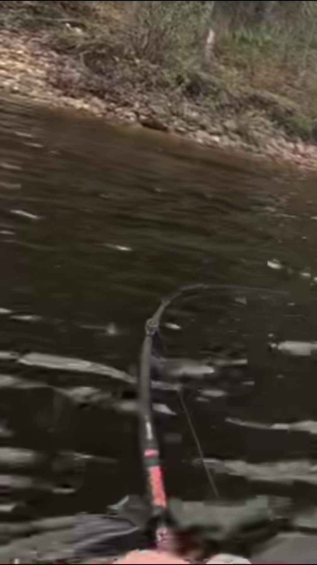 @wildbillfishing