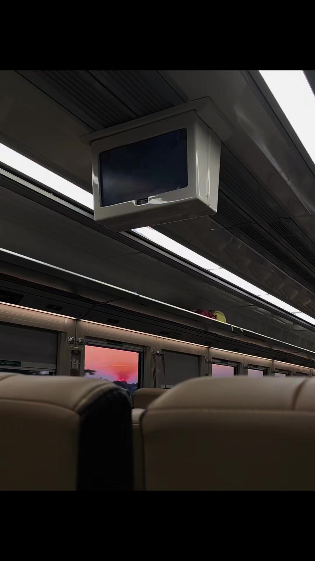 @𝙎𝙖𝙖