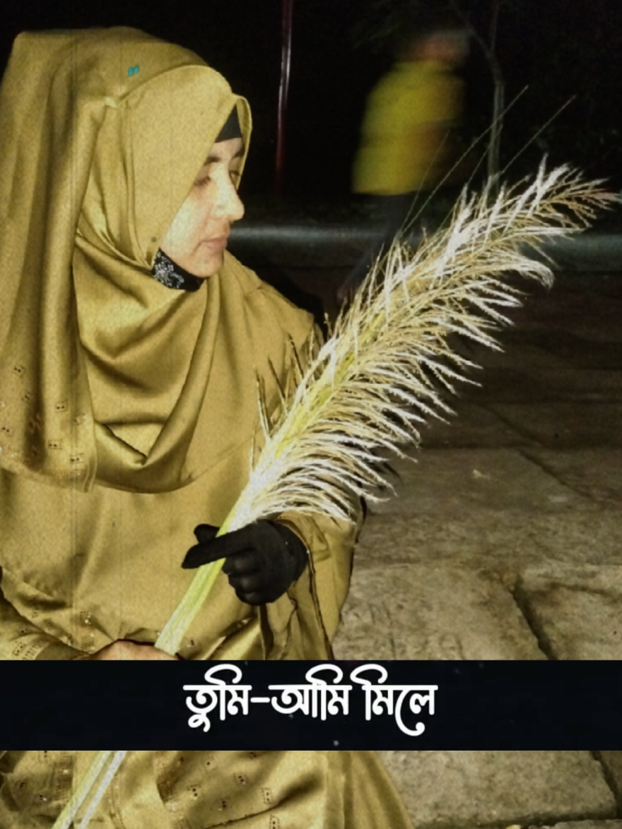 @sirajganj City creator Tahsin