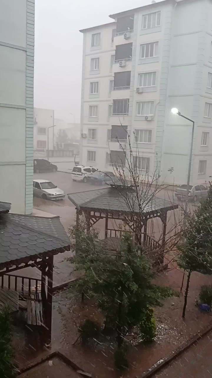 @Zeyno günn