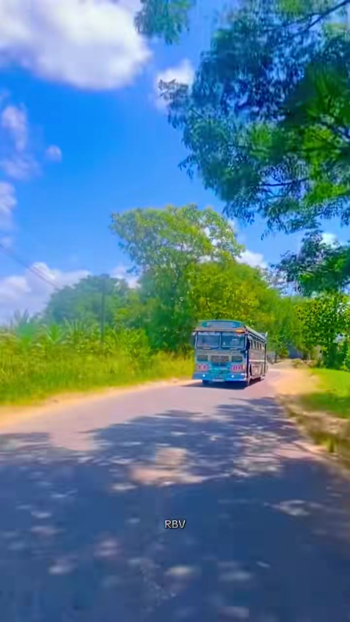 @බඔර පැටික්කි luxury edition 💙