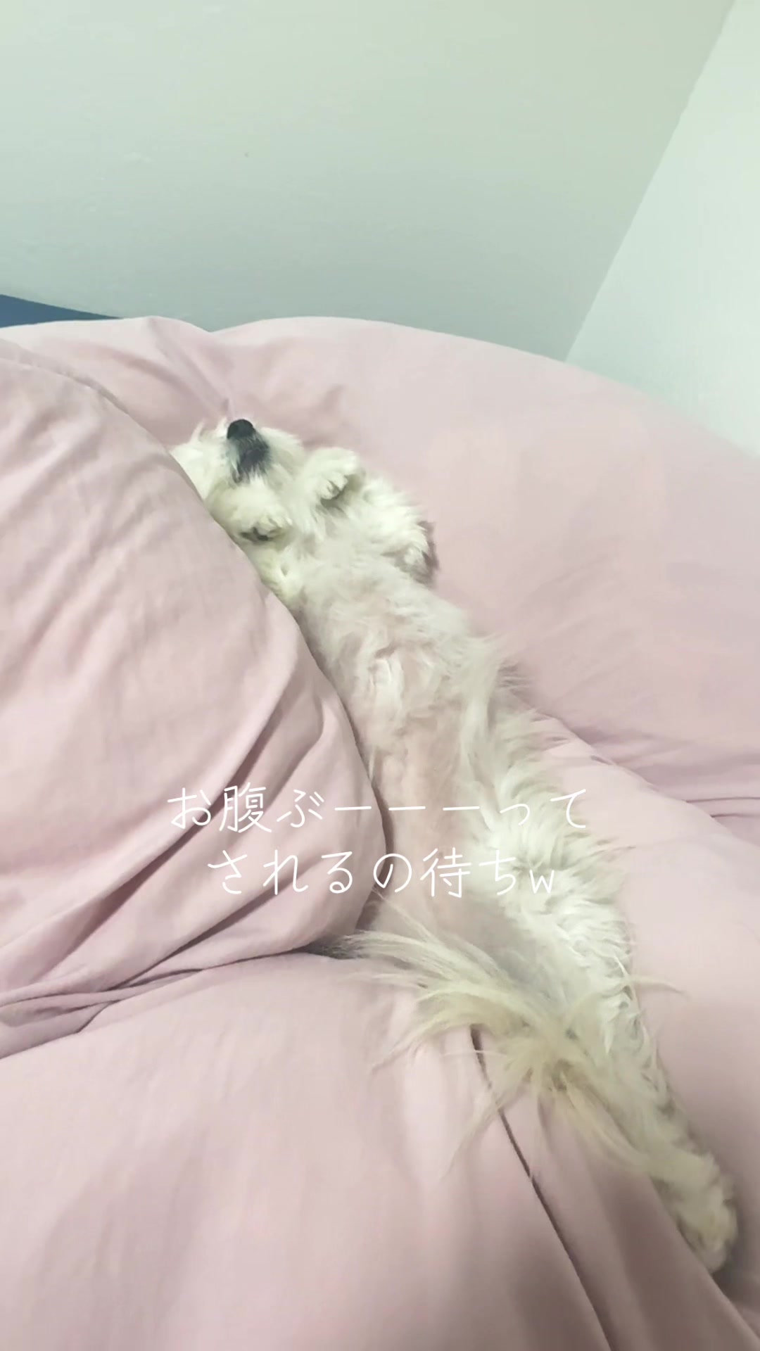 @さまむ〜