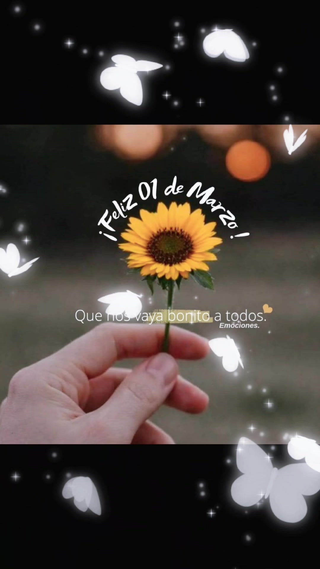 @Lety Pedro