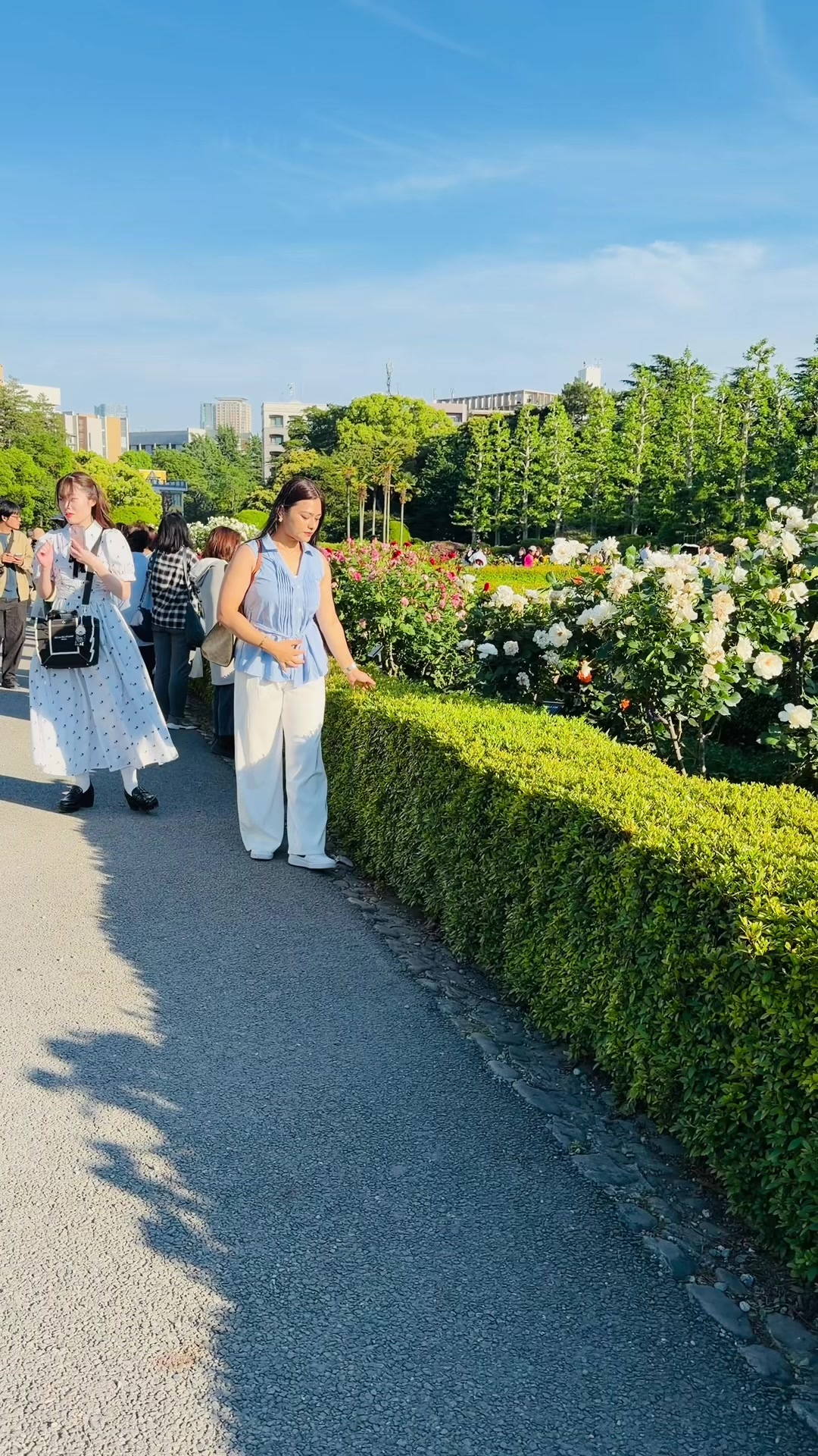 @Saru gc🇯🇵❤️🇳🇵