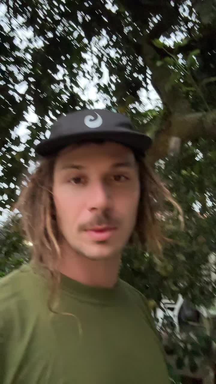 @Bruno Pereira