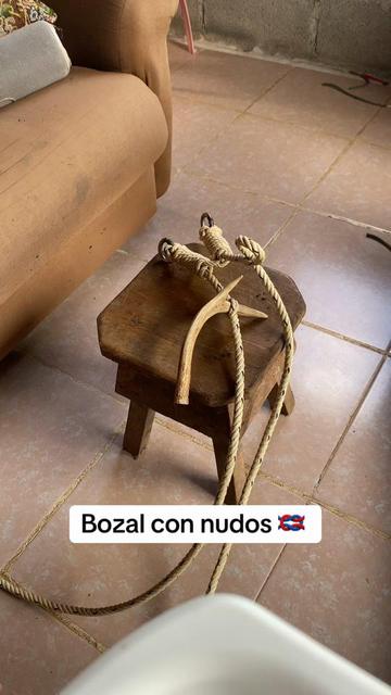 @RobertilloOviedo